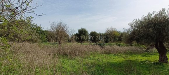 5 Schlafzimmer Haus in Loule, Portugal, Nr. 204569 3