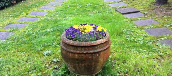 10غرفة فيلا في Capannori, Italy رقم 42727 13