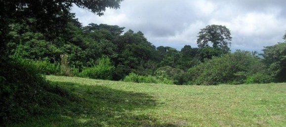 terrain à vendre à Tilaran, Guanacaste, Costa Rica № 1417 3