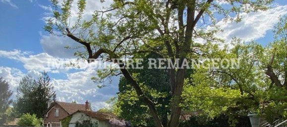 7 bedrooms House in Lamotte-Beuvron, France No. 73653 2