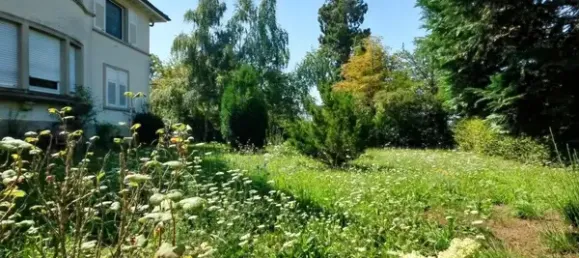 11غرفة شقة في Konstanz, Germany رقم 355166 21