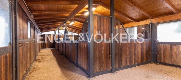 7 Schlafzimmer Villa in Manciano, Italy, Nr. 68620 2