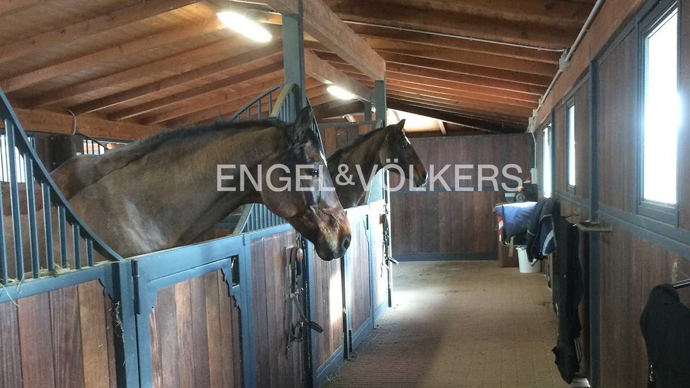 7 Schlafzimmer Villa in Manciano, Italy, Nr. 68620