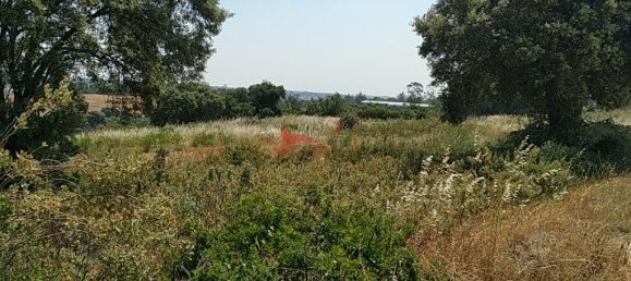 5400m² Land in Santarem, Portugal No. 63887 9