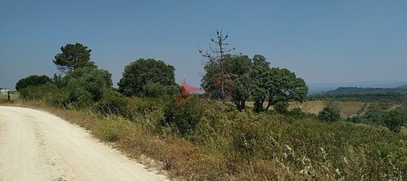 5400m² Land in Santarem, Portugal No. 63887 11