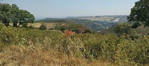 5400m² Land in Santarem, Portugal No. 63887 10