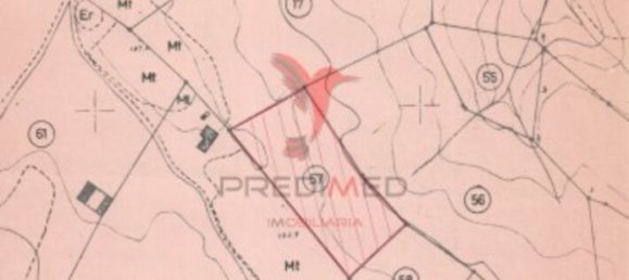 5400m² Land in Santarem, Portugal No. 63887 4