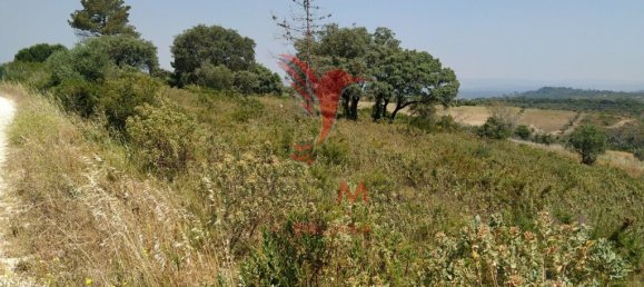 5400m² Land in Santarem, Portugal No. 63887 7