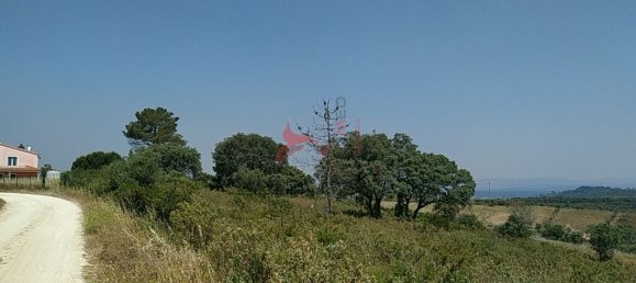 5400m² Land in Santarem, Portugal No. 63887 8