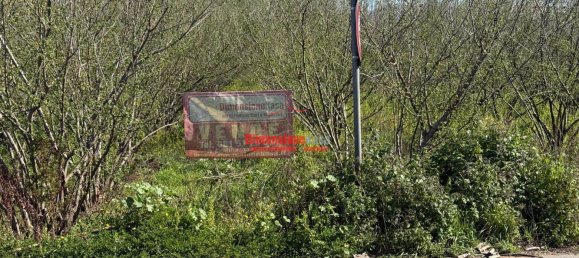 1 room Land in Nola, Italy No. 52464 15