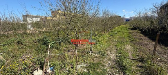 1 room Land in Nola, Italy No. 52464 5