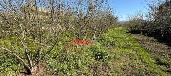 1 room Land in Nola, Italy No. 52464 3