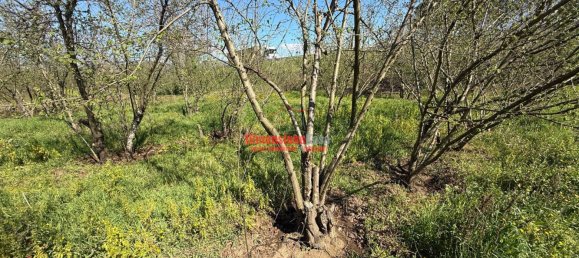 1 room Land in Nola, Italy No. 52464 7