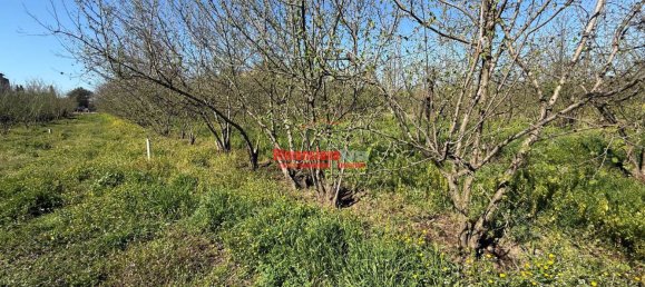 1 room Land in Nola, Italy No. 52464 13