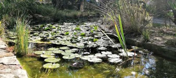 5 bedrooms Villa in Lorgues, France No. 195656 6