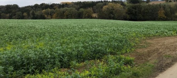 Terreno en Wallsee-Sindelburg, Austria 747 m² No. 134160 6