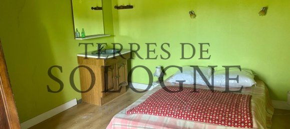 4 غرف نوم منزل في Lamotte-Beuvron, France رقم 91567 14