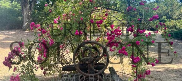 4 غرف نوم منزل في Lamotte-Beuvron, France رقم 91567 21