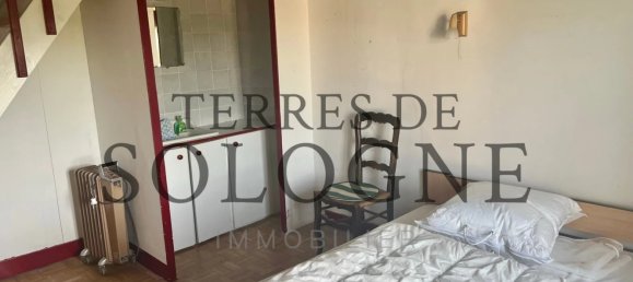 4 غرف نوم منزل في Lamotte-Beuvron, France رقم 91567 15