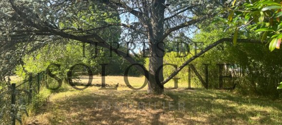 4 غرف نوم منزل في Lamotte-Beuvron, France رقم 91567 23