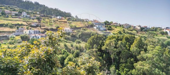 3 غرف نوم منزل في Calheta, Portugal رقم 186558 21