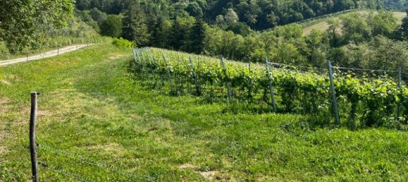 Дом с 5 спальнями в Сканцорошате, Италия № 82122 5