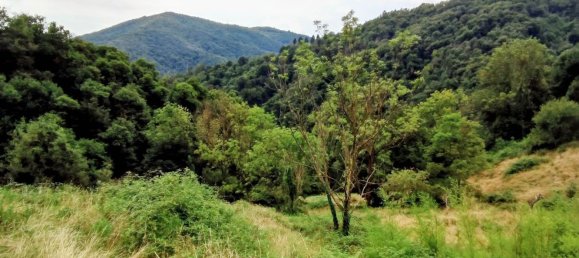 6 rooms House in Valdilana, Italy No. 269746 28