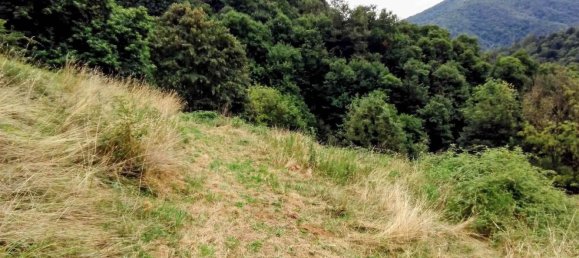 6 rooms House in Valdilana, Italy No. 269746 29