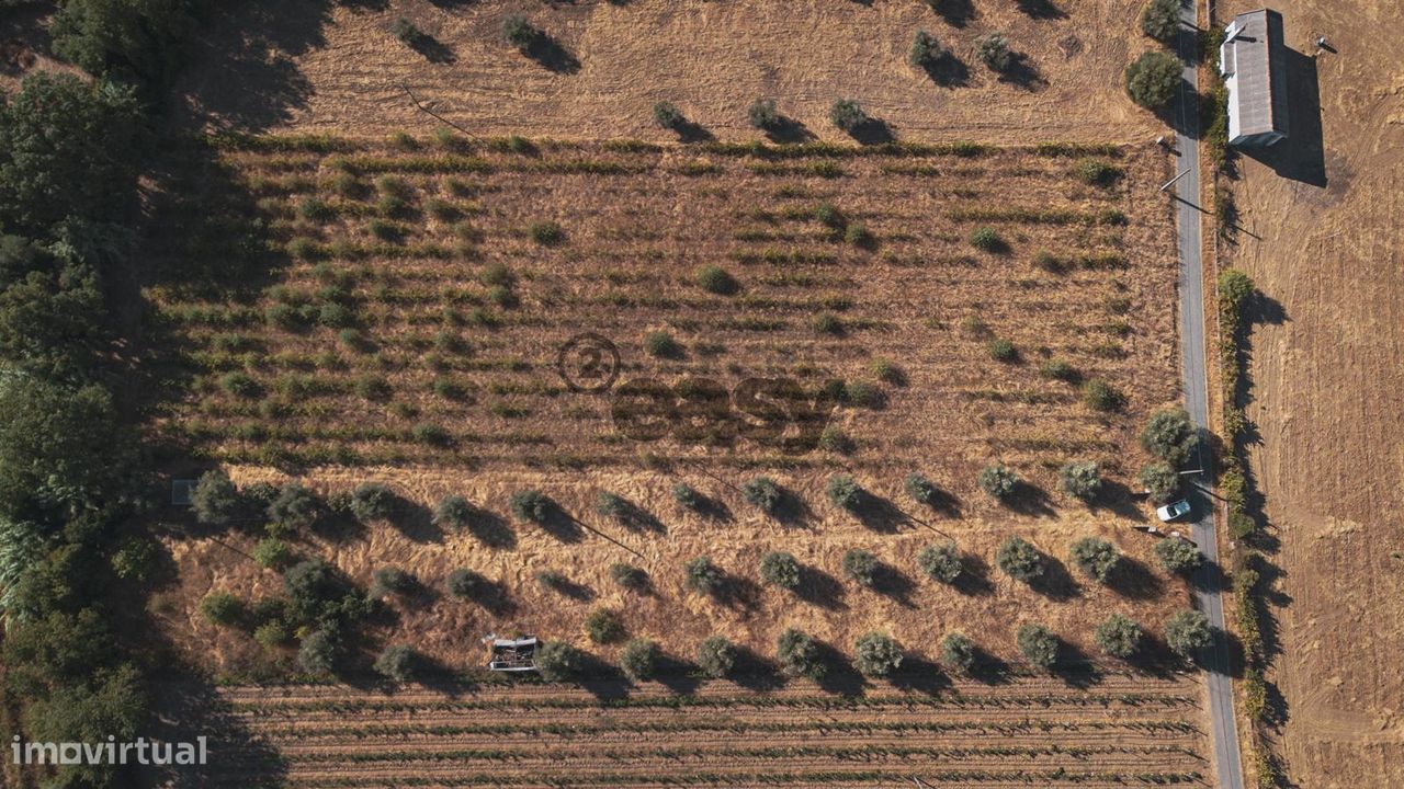 Grundstück in Vidigueira, Portugal 8250m², Nr. 297142