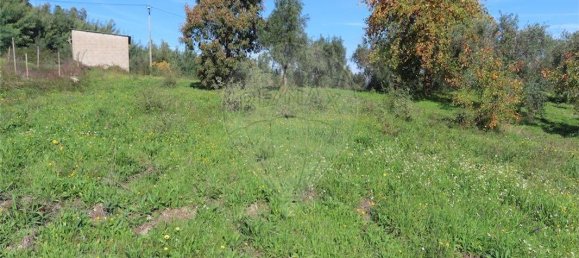 9 غرف نوم منزل في Fundao, Portugal رقم 83748 37