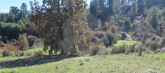 9 غرف نوم منزل في Fundao, Portugal رقم 83748 31