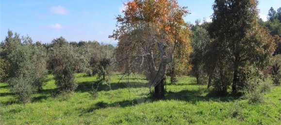 9 غرف نوم منزل في Fundao, Portugal رقم 83748 27