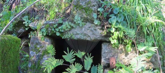 9 غرف نوم منزل في Fundao, Portugal رقم 83748 17