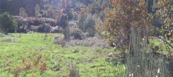 9 غرف نوم منزل في Fundao, Portugal رقم 83748 35