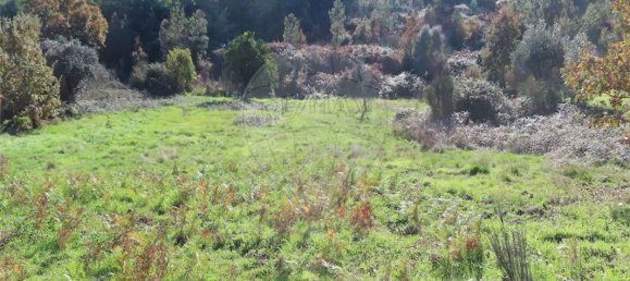 9 غرف نوم منزل في Fundao, Portugal رقم 83748 34