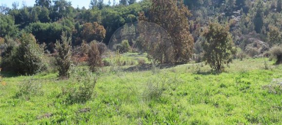 9 غرف نوم منزل في Fundao, Portugal رقم 83748 30