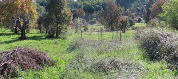 9 غرف نوم منزل في Fundao, Portugal رقم 83748 25