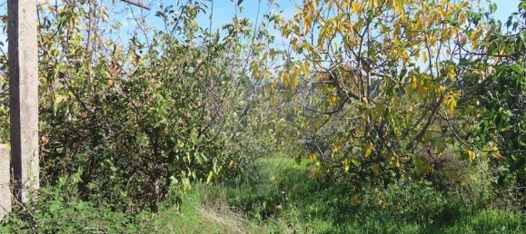 9 غرف نوم منزل في Fundao, Portugal رقم 83748 19