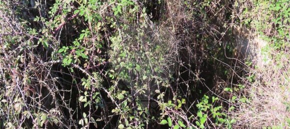 9 غرف نوم منزل في Fundao, Portugal رقم 83748 29