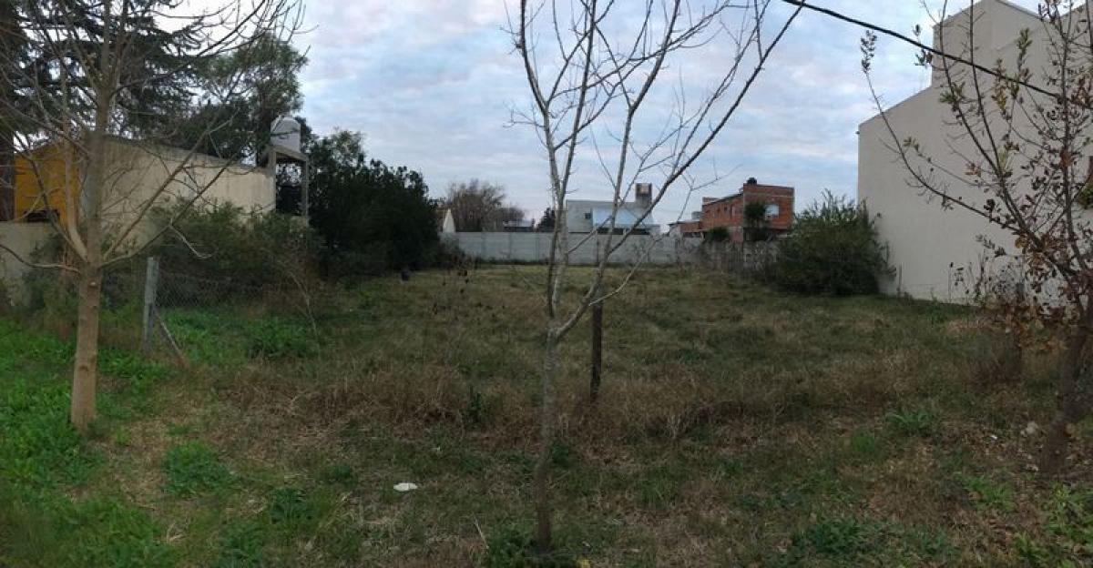 Terreno em Campo Creado, Argentina N.º 47464