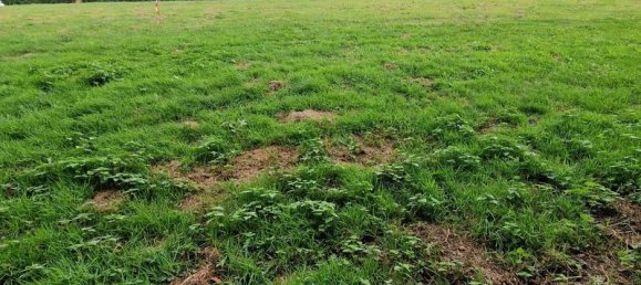  Land in Tingry, France No. 323118 2