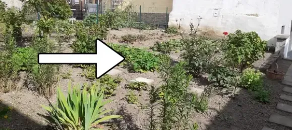 2 chambres Maison à Mayen-Koblenz, Germany No. 350679 9