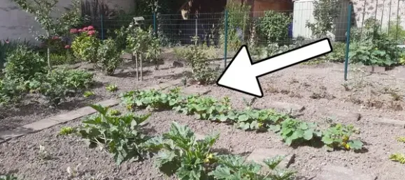 2 chambres Maison à Mayen-Koblenz, Germany No. 350679 11