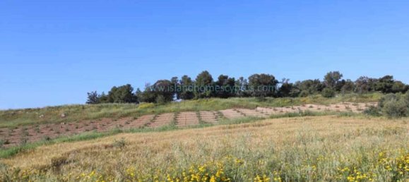  Land in Frenaros, Cyprus No. 24110 2