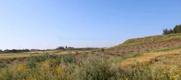 Land in Frenaros, Cyprus No. 24110 3