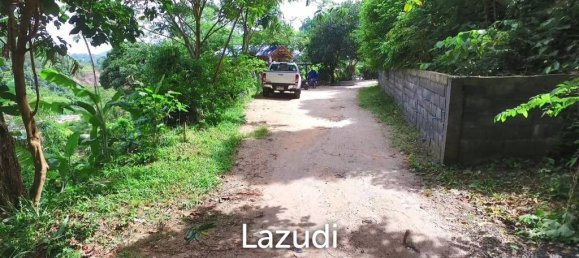  Commercial property in Kathu, Thailand No. 13182 6