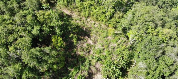  Commercial property in Kathu, Thailand No. 13182 8