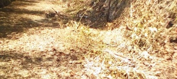  Commercial property in Kathu, Thailand No. 13182 5