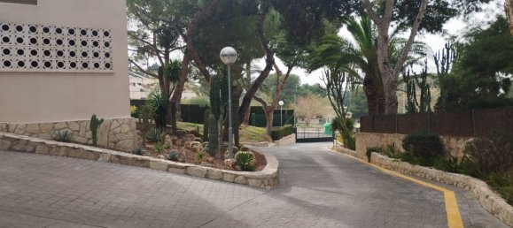 4 Schlafzimmer Wohnung in Cabo De Las Huertas, Spain, Nr. 159961 6