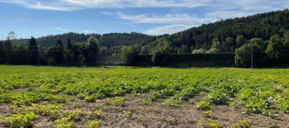 12173m² Land in Gleisdorf, Austria No. 241041 3
